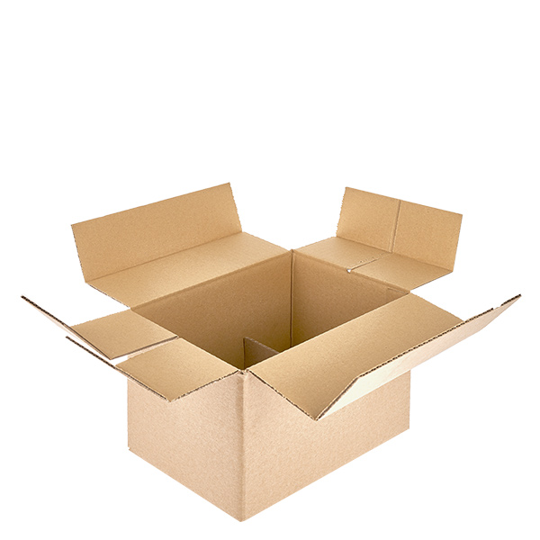 1010840-c-6er-kartons-234x155x147-600