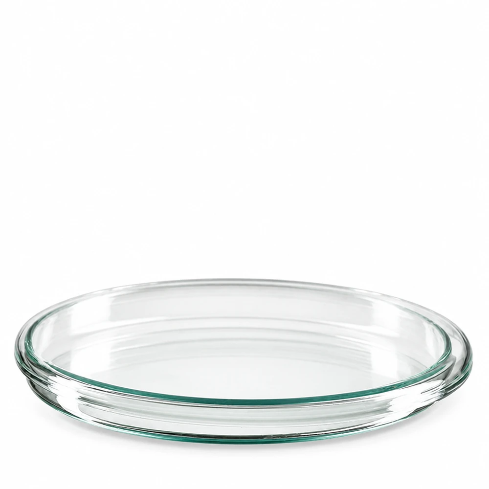 Petrischale aus Borosilikatglas 100x10mm für Labor und Gewerbe transparent sterilisierbar