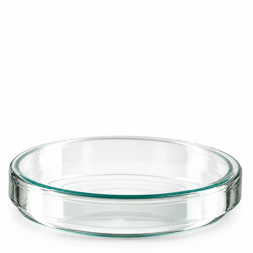 Petrischale 100x20mm Glas Petrischale 100x20mm aus Borosilikatglas für Labor und Gewerbe klares Glas professionelle Qualität