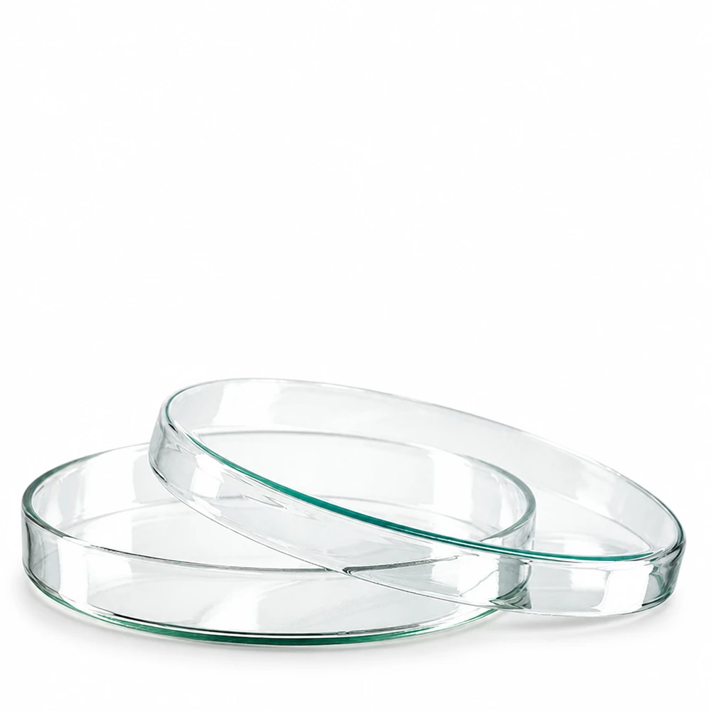 Zwei Petrischalen aus Borosilikatglas 120x20mm für Labor und Mikrobiologie professioneller Einsatz