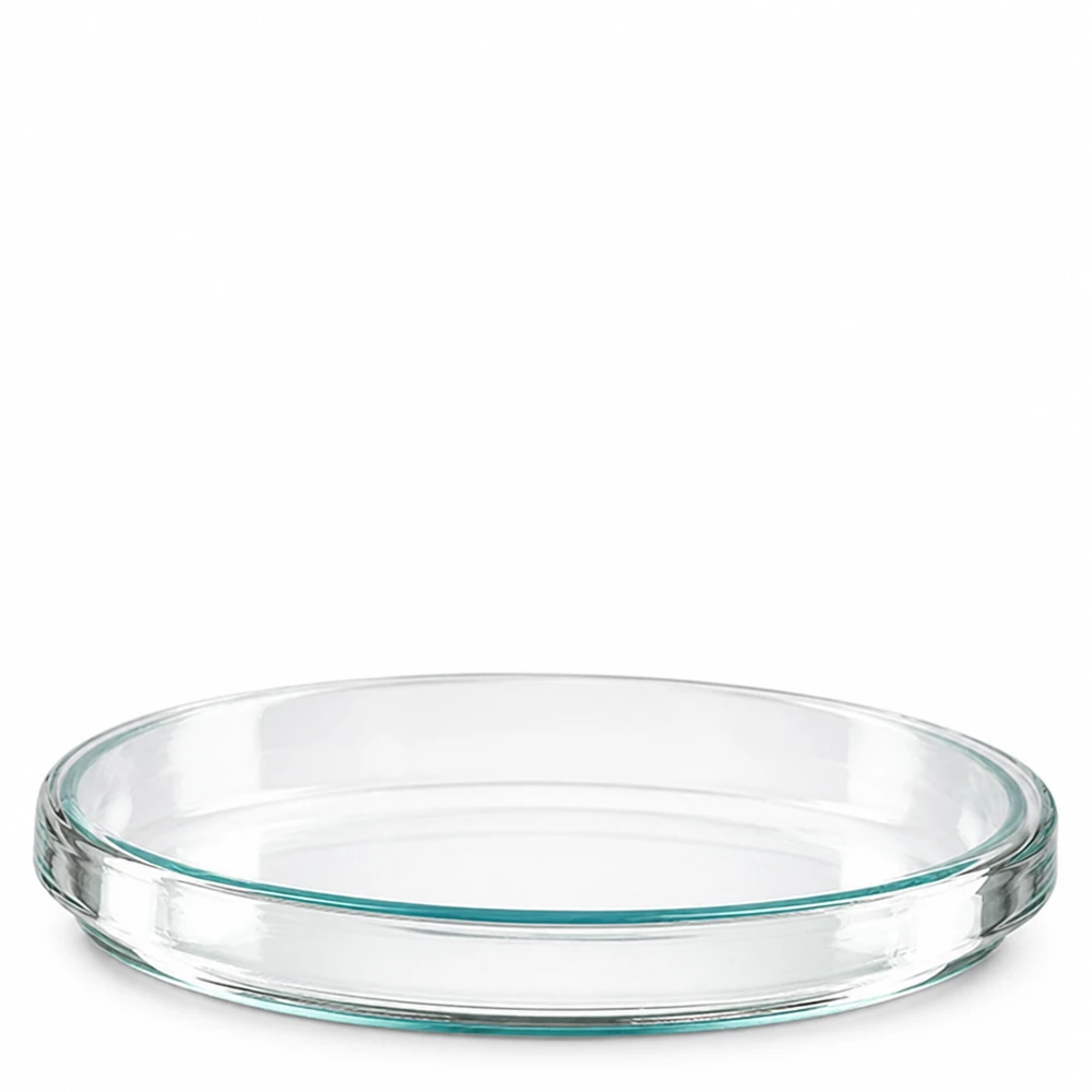 Petrischale aus Borosilikatglas 100x15mm für Labor und Gewerbe professionelle Glasschale