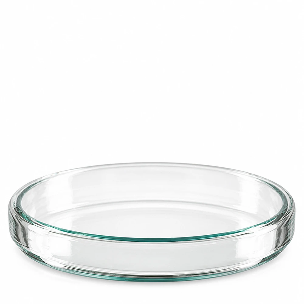 Petrischale 90x15mm Glas Petrischale 90x15mm aus Borosilikatglas für Labor und Gewerbe transparent und hitzebeständig